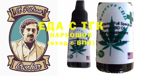 тгк Инсар