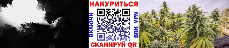 Шишки марихуана марихуана  Карабаш 